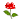 DƬc´ڴ_鿴